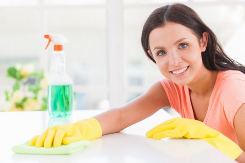 Professional upholstery cleaning for sofas in a Haringey home