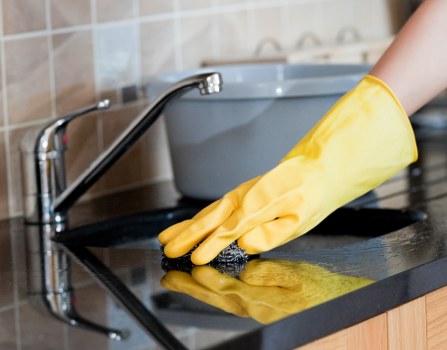Carpet cleaner in a Haringey home preparing a transparent quote