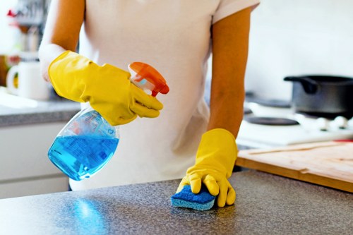 Pet odour treatment in a Haringey flat with narrow access