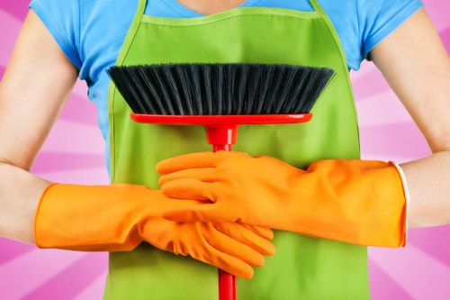 Professional carpet cleaning in progress inside a home
