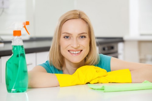 Window cleaner servicing residential windows in Haringey