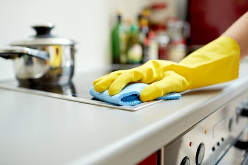 Professional gutter cleaning for homes and businesses in Haringey