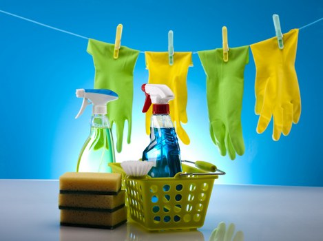 Local cleaners handling a detailed deep clean in Haringey