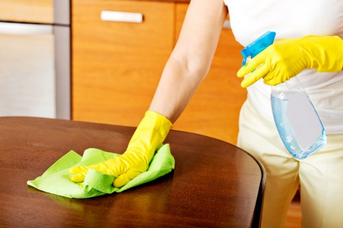 Local upholstery cleaner treating stains on a lounge sofa