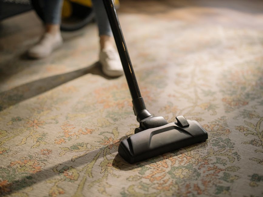 A close-up view of a vacuum cleaner with a black floor nozzle and a long, dark hose being used to deep clean a patterned area rug in a residential living room. The rug features intricate floral designs in muted tones of beige, green, and orange. The background shows the lower legs and white sneakers of a person operating the vacuum, with soft natural lighting illuminating the space. The scene emphasizes surface cleaning and maintenance, highlighting the importance of thorough domestic cleaning by Haringey Carpet Cleaners, as seen on the page for Turnpike Lane carpet cleaning specialists.