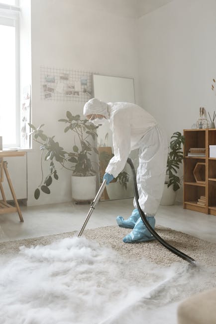 A professional cleaner wearing a white protective suit, gloves, and blue shoe covers is engaged in deep cleaning a light beige or cream-colored carpet with a vacuum or steaming device in a bright, modern living room. The room features a large window with natural light illuminating the space, potted plants on either side of the cleaner, and a wooden shelving unit with decorative items. The walls are white, and the room has a minimalistic aesthetic with a clean, dust-free appearance, emphasizing surface cleaning and sanitisation. Haringey Carpet Cleaners specialises in domestic cleaning services, including carpet and surface sanitisation, as part of comprehensive hygiene maintenance in residential spaces.